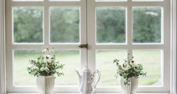 Windows 2019 White Windows - upvc windows